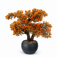 Bonsai Ağacı-13